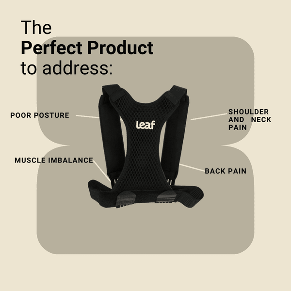 Leaf Posture Corrector – Back & Shoulder Support for Improved Alignment