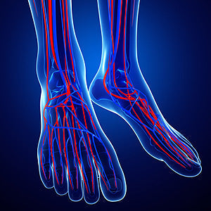 Understanding the Role of Peripheral Parts
