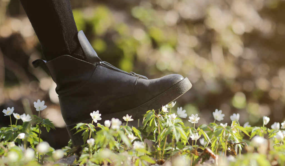 Evolution of Diabetic Shoes: A Journey Through History - Diabetic Shoe - An Ortho Shoes Company