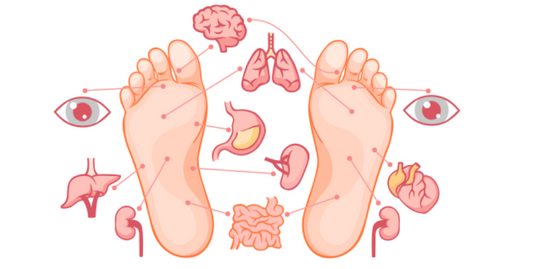 foot-reflexology