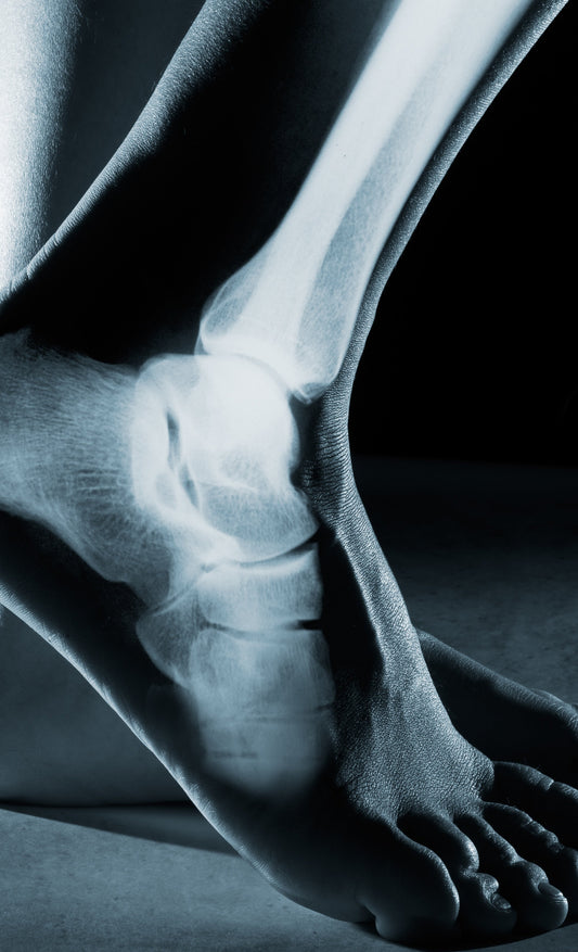 Understanding Ankle Bone Growth and Development