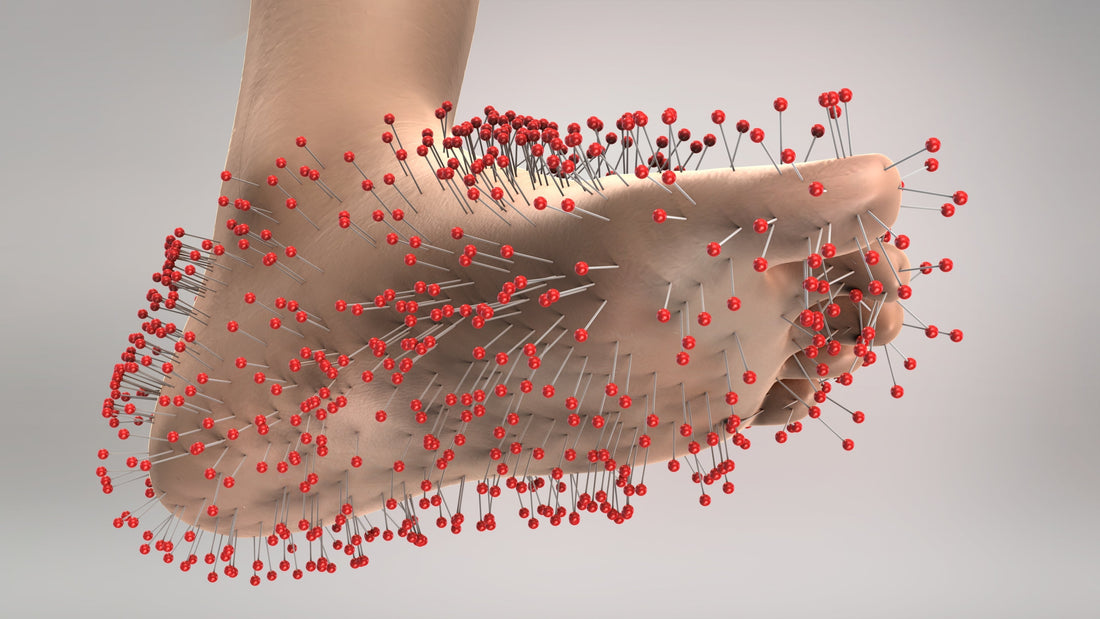 Bottom of the Foot Anatomy: Essential Guide - Diabetic Shoe - An Ortho Shoes Company