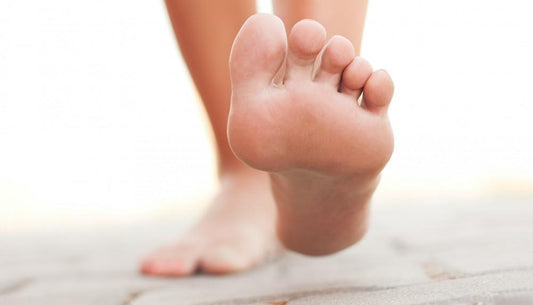 Understanding Foot Arteries: Anatomy and Health - Diabetic Shoe - An Ortho Shoes Company