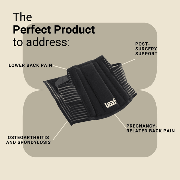 Leaf Ortho Lumbar Support Belt – Lower Back Pain Relief & Posture Support