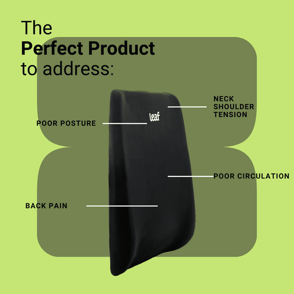 Leaf Lumbar Support Back Rest – Lower Back Pain & Posture Relief