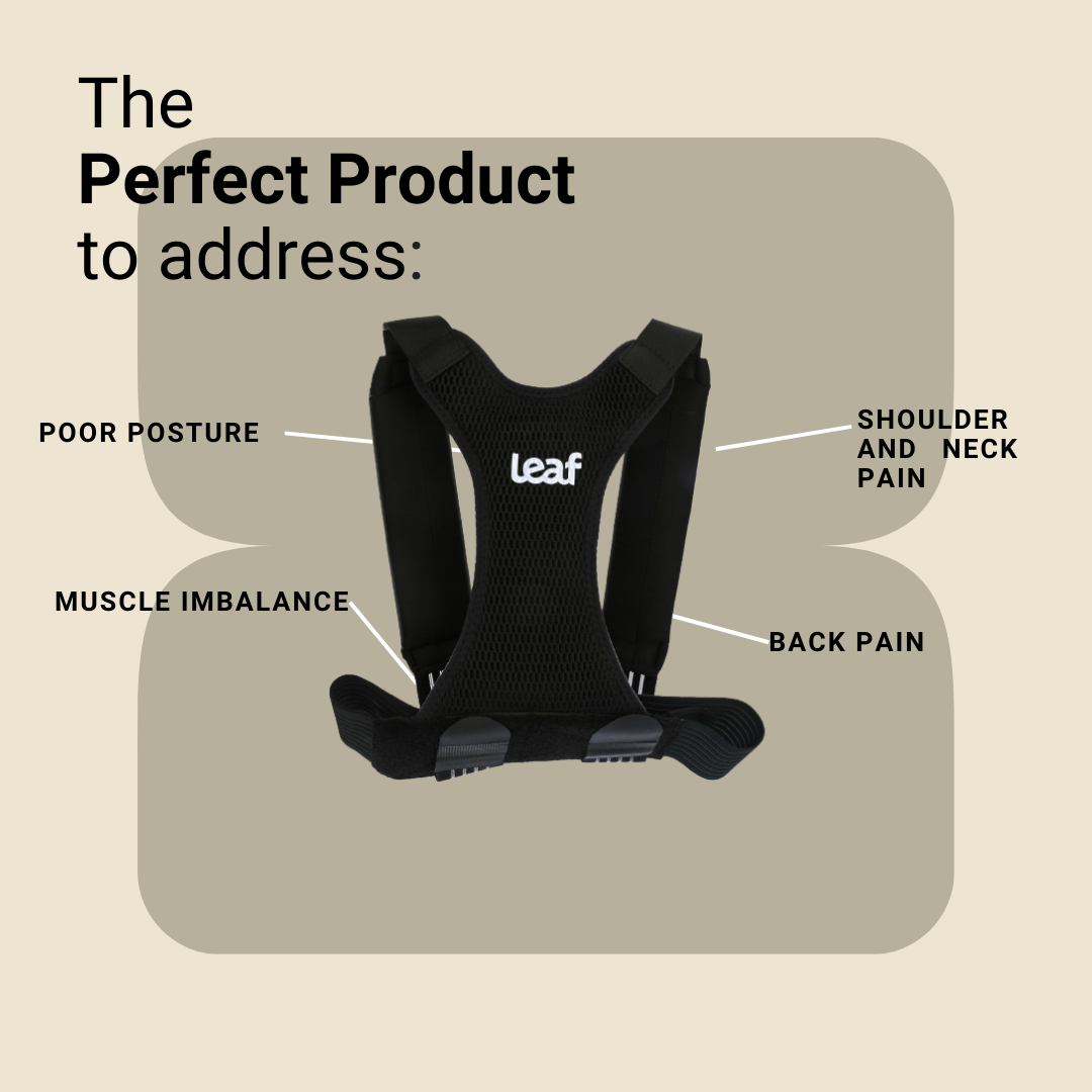 Leaf Posture Corrector – Back & Shoulder Support for Improved Alignment