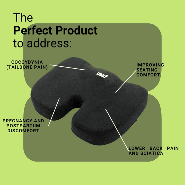 Leaf Ortho Coccyx Cushion – Tailbone Pain Relief & Pressure Support