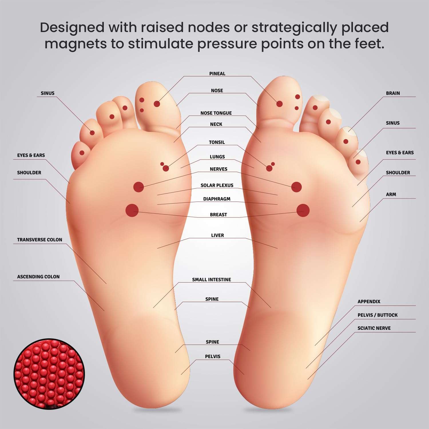 Ortho Rest  Men's Flip Flops with Acupressure Footbed (M10015) - Red