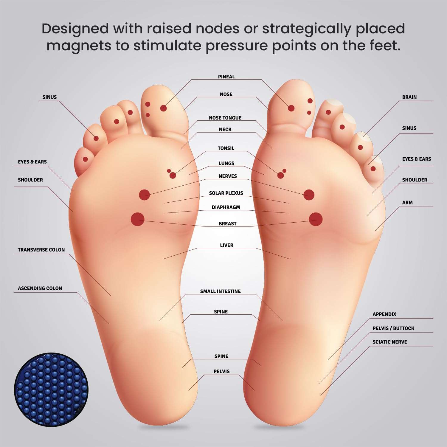 Ortho Rest  Men's Flip Flops with Acupressure Footbed (M10015) - Blue